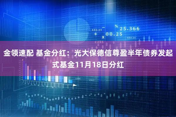 金领速配 基金分红：光大保德信尊盈半年债券发起式基金11月18日分红
