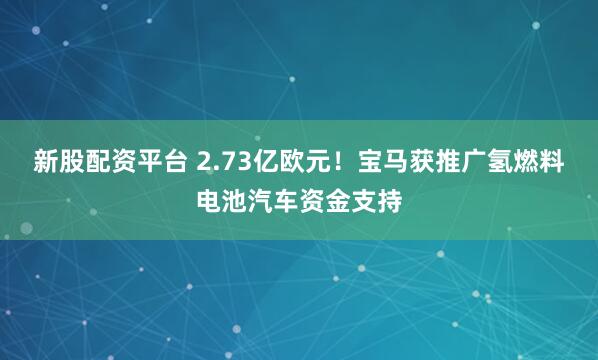 新股配资平台 2.73亿欧元！宝马获推广氢燃料电池汽车资金支持