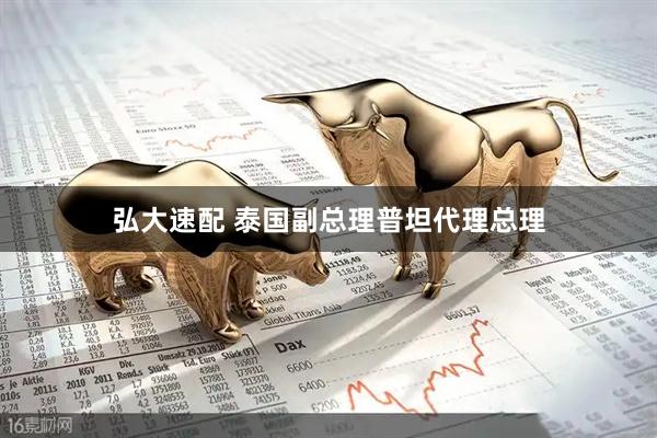 弘大速配 泰国副总理普坦代理总理