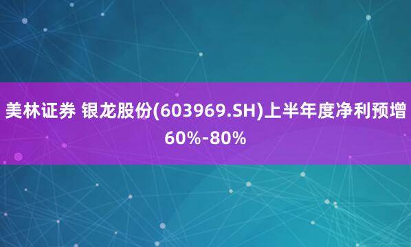 美林证券 银龙股份(603969.SH)上半年度净利预增60%-80%