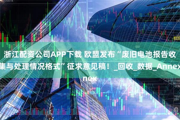 浙江配资公司APP下载 欧盟发布“废旧电池报告收集与处理情况格式”征求意见稿！_回收_数据_Annex