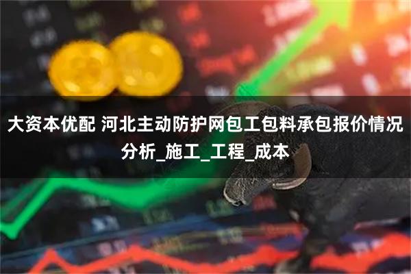 大资本优配 河北主动防护网包工包料承包报价情况分析_施工_工程_成本