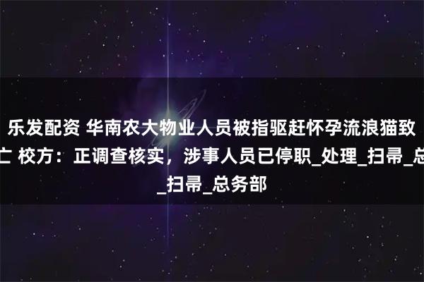 乐发配资 华南农大物业人员被指驱赶怀孕流浪猫致其死亡 校方：正调查核实，涉事人员已停职_处理_扫帚_总务部
