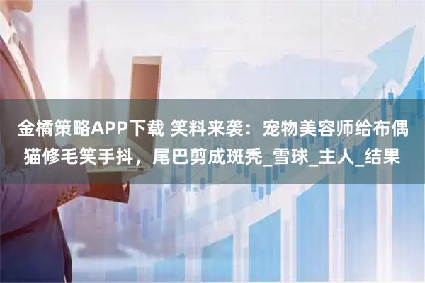 金橘策略APP下载 笑料来袭：宠物美容师给布偶猫修毛笑手抖，尾巴剪成斑秃_雪球_主人_结果