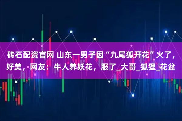 砖石配资官网 山东一男子因“九尾狐开花”火了，好美，网友：牛人养妖花，服了_大哥_狐狸_花盆