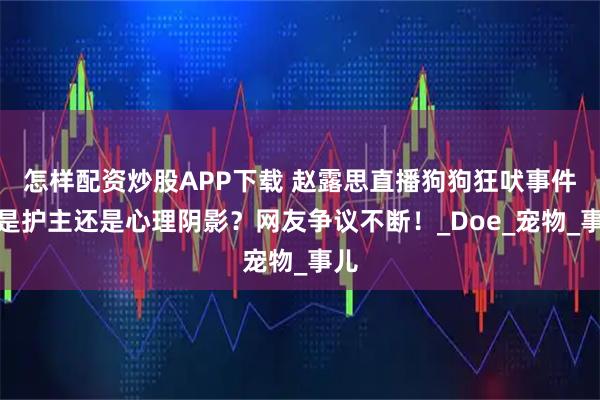 怎样配资炒股APP下载 赵露思直播狗狗狂吠事件：是护主还是心理阴影？网友争议不断！_Doe_宠物_事儿