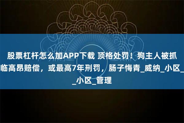 股票杠杆怎么加APP下载 顶格处罚！狗主人被抓，面临高昂赔偿，或最高7年刑罚，肠子悔青_威纳_小区_管理