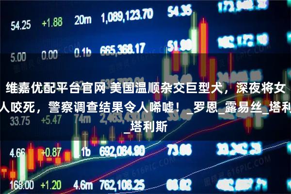 维嘉优配平台官网 美国温顺杂交巨型犬，深夜将女主人咬死，警察调查结果令人唏嘘！_罗恩_露易丝_塔利斯