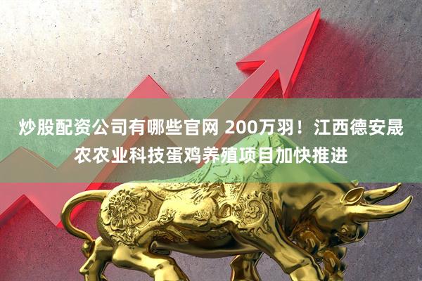 炒股配资公司有哪些官网 200万羽！江西德安晟农农业科技蛋鸡养殖项目加快推进